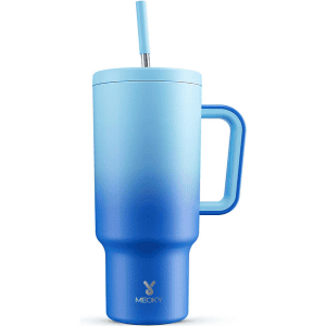 Travel Stainless Steel Mug